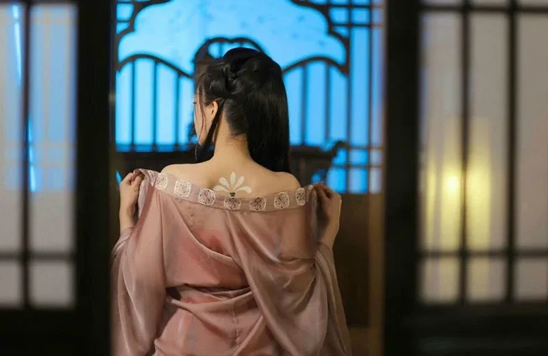 侠女逍遥录 侠女逍遥录游戏攻略PC版 封面图